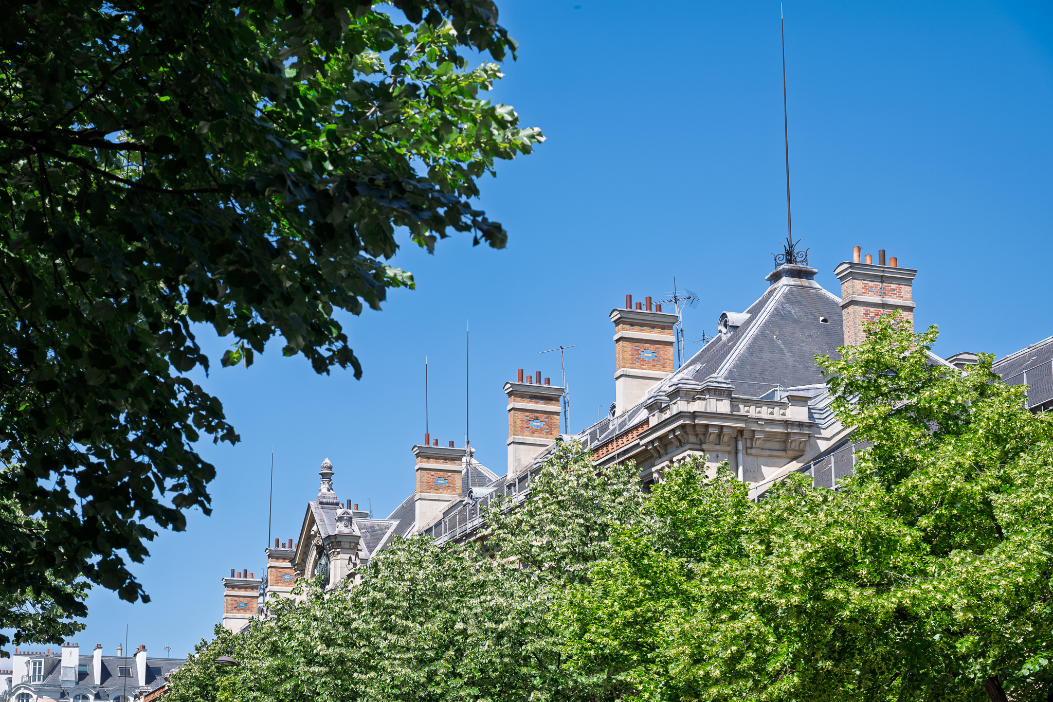 Avenue de la République – Många tak