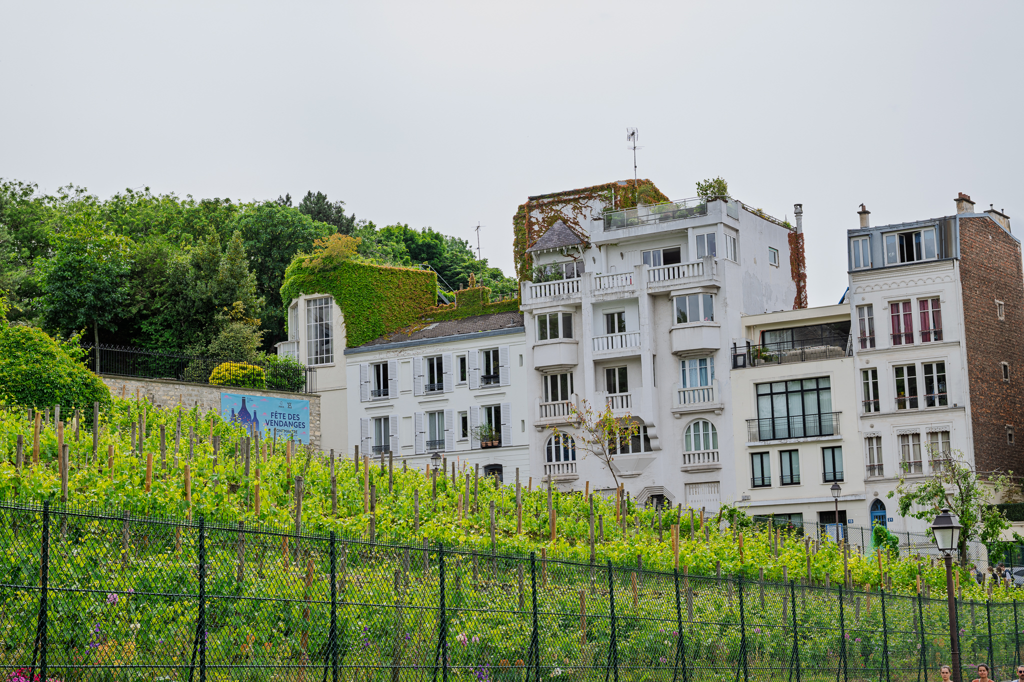 Montmartre en söndag i början av juni